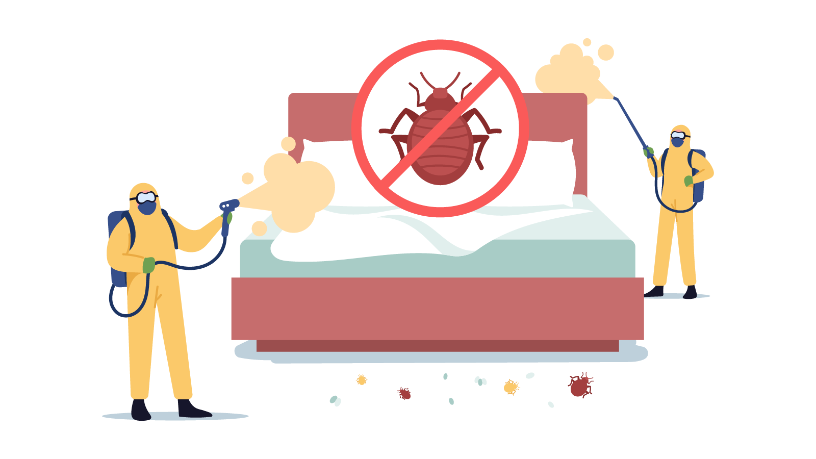 Bed Bugs